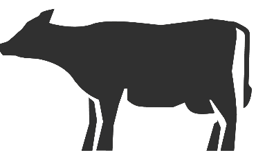 Litière pour bovins