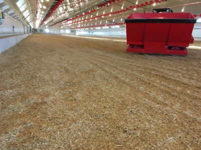 Mise en place de litière 