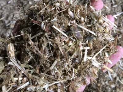 Valorisation des pailles