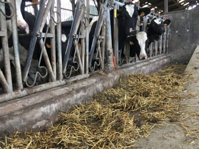 En finir avec les refus