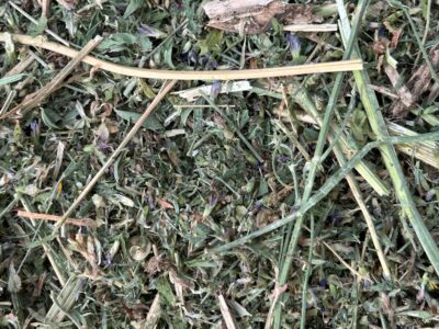 Valorisation des foins